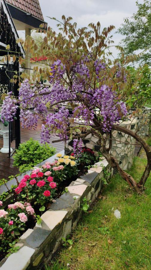 B&B Hotel Elselina Schiedam Luaran gambar